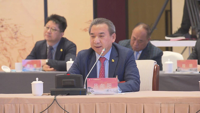 1629249269715169.jpg 集團(tuán)董事長(zhǎng)呂向陽(yáng)在會(huì)議上發(fā)言.jpg